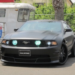 ヤマタイ マスタングボディー マスタング 76762 Mustang ワイドトリッパー ソロシート