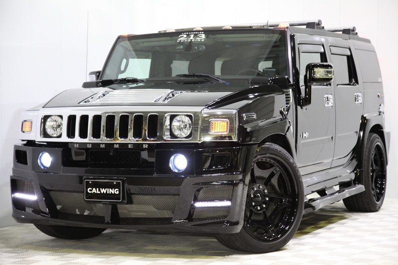 ハマーH2に！ ジオバンナ 25インチ