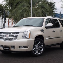 オーダーメイド　5％左右　エスカレードesv Cadillac Escalade ESV Limo With Gullwing Doors For Sale