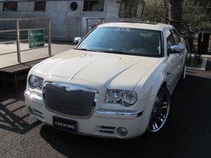 300C 5.7HEMI レーベンハート STRUTグリルKIT ローダウン カスタムオーディオ カスタム