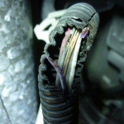 2007年 キャデラック エスカレード エンジン不調修理