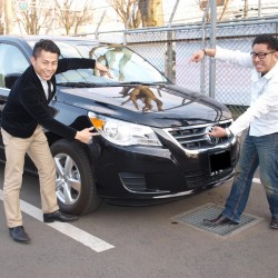 埼玉県久喜市のI様に 超希少車 フォルクスワーゲン ルータンをご納車させて頂きました。