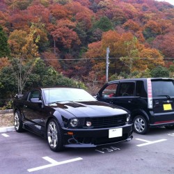 兵庫県神戸市にお住まいのU様に サリーン S281 スーパーチャージド をご納車させて頂きました。