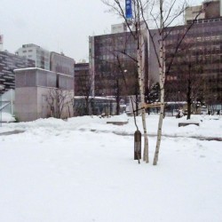 北海道札幌市にお住まいのA社長に新車  2012y  メルセデスベンツ GL550 AMGワイドバージョン をご納車させて頂きました。
