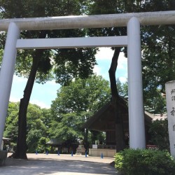 地元所沢の所澤神明社様へお車をご納車させて頂きました。