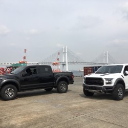 フォード F-150 ラプター！港引き上げ！！