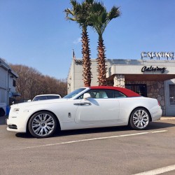 ﾛｰﾙｽﾛｲｽ ﾄﾞｰﾝ NOVITEC ﾉﾋﾞﾃｯｸ ｶｽﾀﾑ