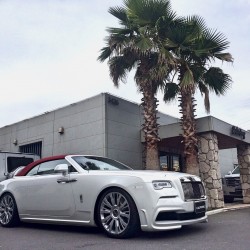 ﾛｰﾙｽﾛｲｽ ﾄﾞｰﾝ NOVITEC ﾉﾋﾞﾃｯｸ ｶｽﾀﾑ