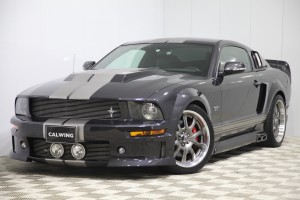 フォード マスタング エレノア　GT500E　SALEENスーパーチャージャー　ブルーフレーム物
