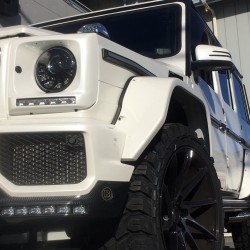 メルセデス・ベンツ　G63 AMG CALIFORNIA MUDSTAR カリフォルニアマッドスター　カスタム！ ゲレンデ　W463