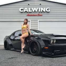 ダッジ DODGE チャレンジャー CHALLENGER ヘルキャット HELLCAT   BAD SPEED LA バッドスピードエルエー  可変バルブ ローダウン  ワイド カスタム