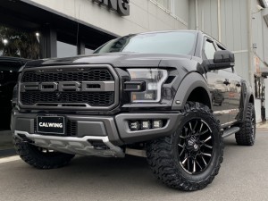 フォード FORD F-150 RAPTOR ラプター ドロップスター DROPSTAR LED ライト カスタム