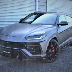 ランボルギーニ lamborghini ウルス URUS ラッピング ホイール ペイント カスタム
