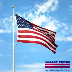 アメリカンムード抜群!! USA直輸入 VALLEY FORGE製 USフラッグ入荷！