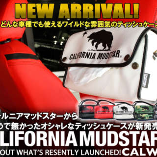 カリフォルニアマッドスターからありそうで無かったオシャレなティッシュケースが新発売！