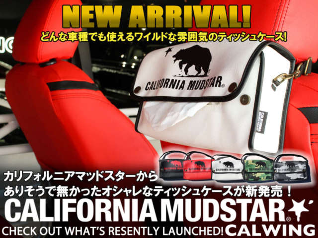 カリフォルニアマッドスターからありそうで無かったオシャレなティッシュケースが新発売!