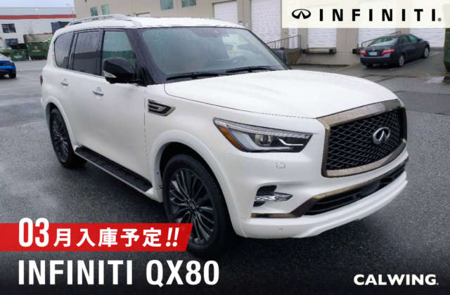 インフィニティ QX80 プロアクティブ　AWD　シアターPKG   センソリーPKG