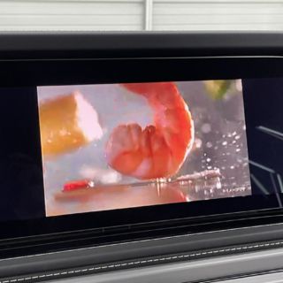 在庫車両