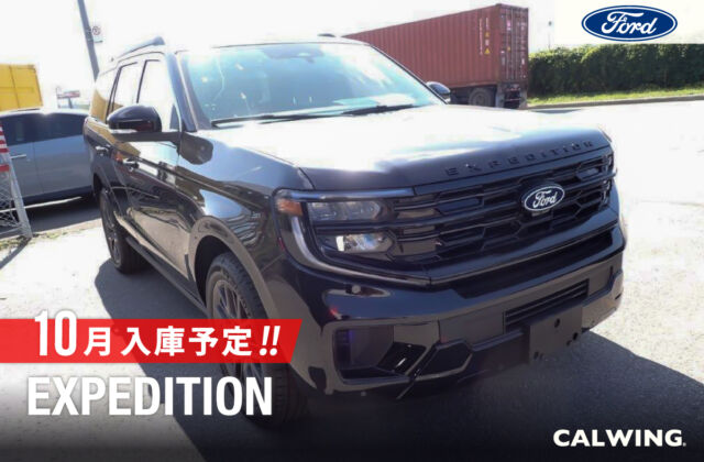 フォード エクスペディション プラチナム AWD ステルスアピアランスパッケージ 